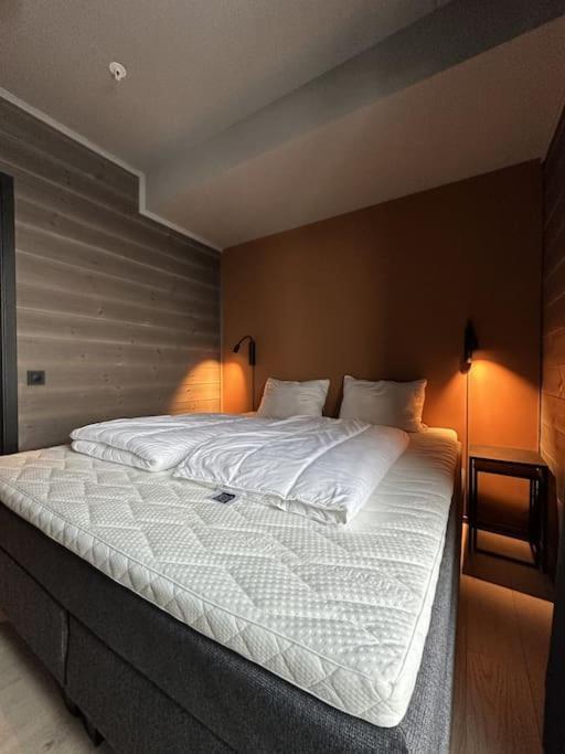 Apartament Riddergaardens Panorama Beitostolen Zewnętrze zdjęcie